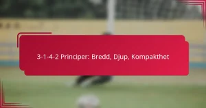 Read more about the article 3-1-4-2 Principer: Bredd, Djup, Kompakthet
