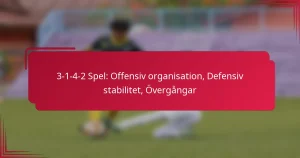 Read more about the article 3-1-4-2 Spel: Offensiv organisation, Defensiv stabilitet, Övergångar