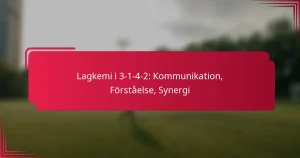 Read more about the article Lagkemi i 3-1-4-2: Kommunikation, Förståelse, Synergi