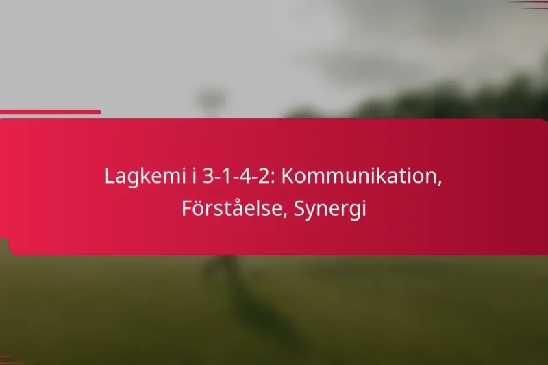 Lagkemi i 3-1-4-2: Kommunikation, Förståelse, Synergi