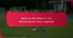 Read more about the article Spelarnas Mentalitet I 3-1-4-2: Motståndskraft, Fokus, Lagarbete