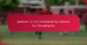 Read more about the article Spelfaser i 3-1-4-2: Anfallande fas, Defensiv fas, Övergångsfas