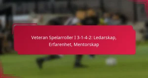 Read more about the article Veteran Spelarroller I 3-1-4-2: Ledarskap, Erfarenhet, Mentorskap