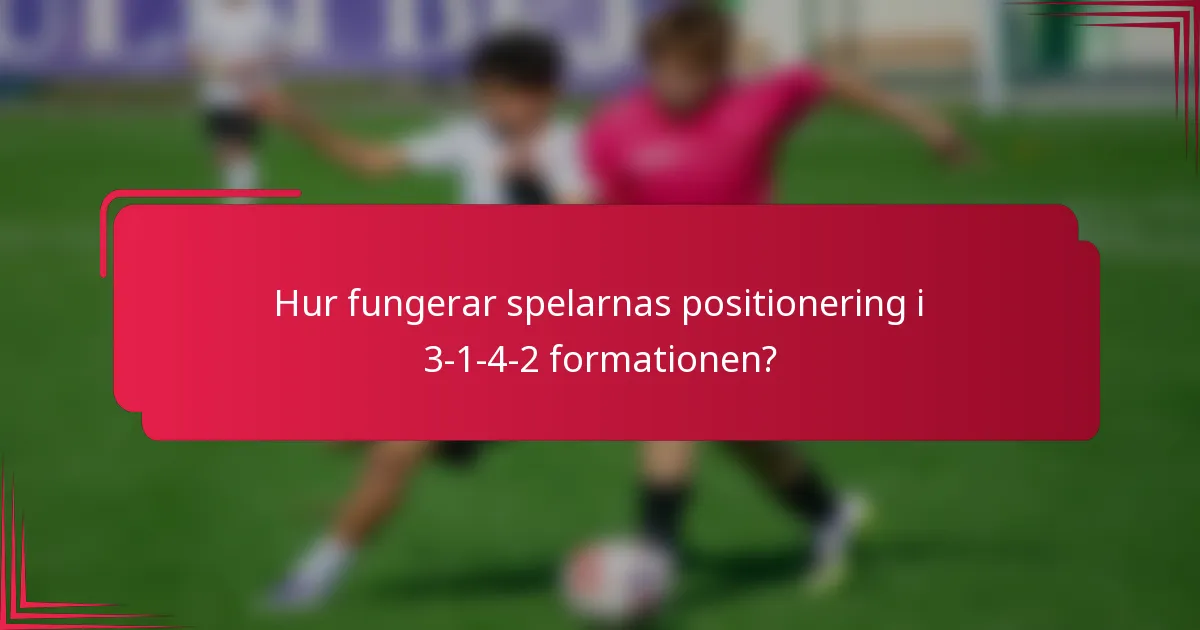 Hur fungerar spelarnas positionering i 3-1-4-2 formationen?