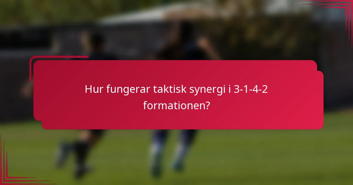Hur fungerar taktisk synergi i 3-1-4-2 formationen?