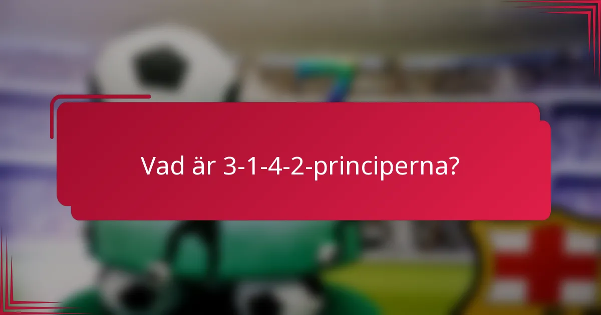 Vad är 3-1-4-2-principerna?